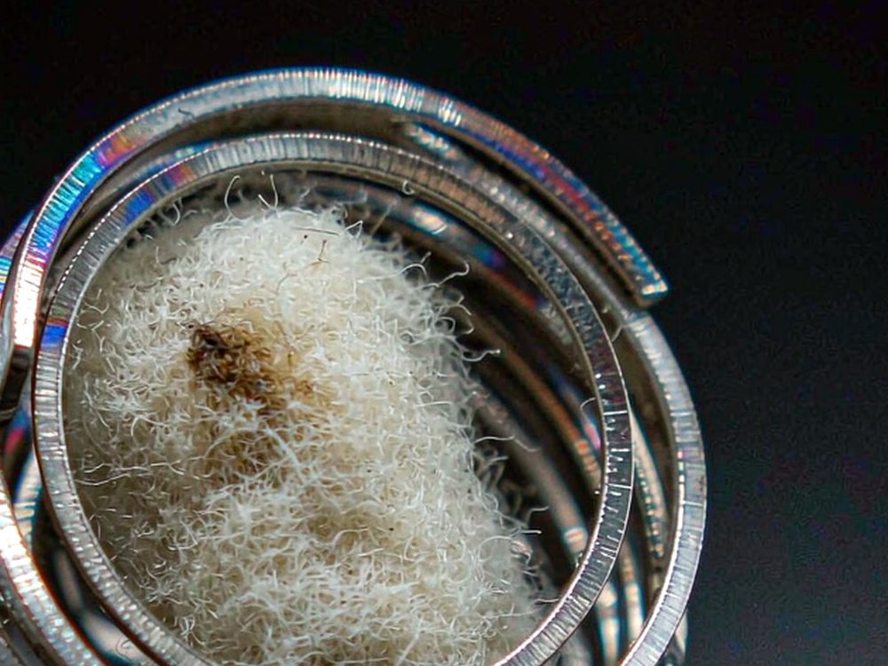 Bulk Distribution for Beipeu coils — no minimum MOQ