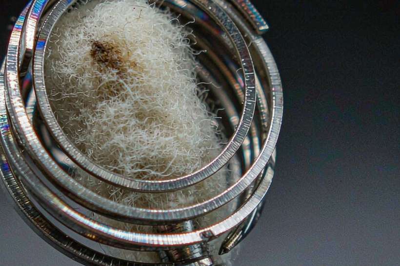 Bulk Distribution for Beipeu pods — age-verified