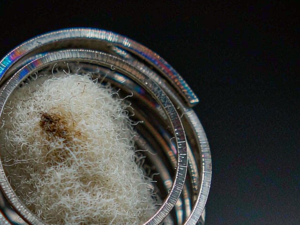 Buyer's Guide to Beipeu pods — premium tier