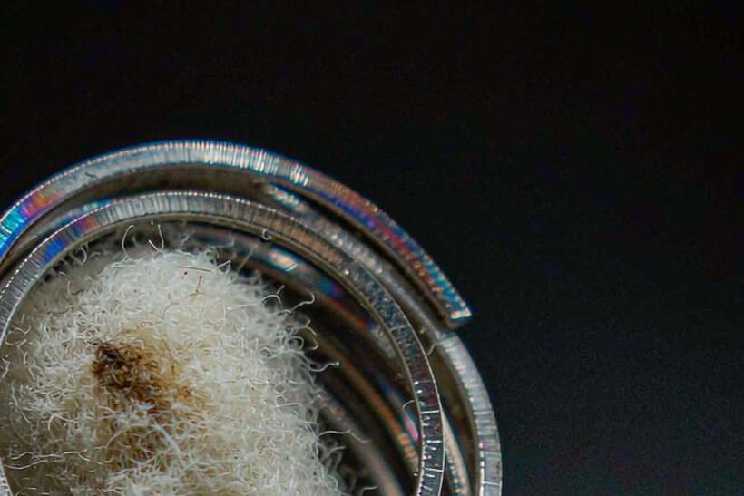 Comparison of Beipeu coils Suppliers — EU stock