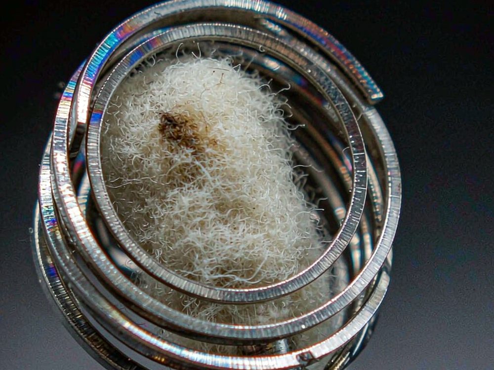 Comparison of Beipeu kits Suppliers — 2026