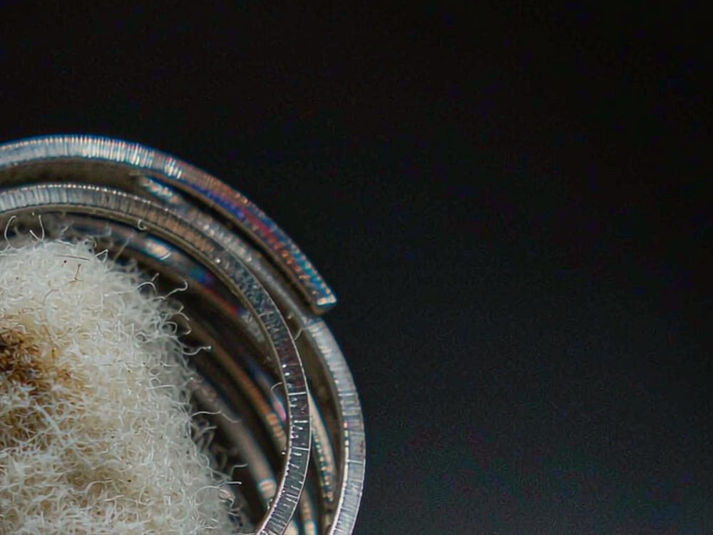 Comparison of Beipeu pods Suppliers — bulk case