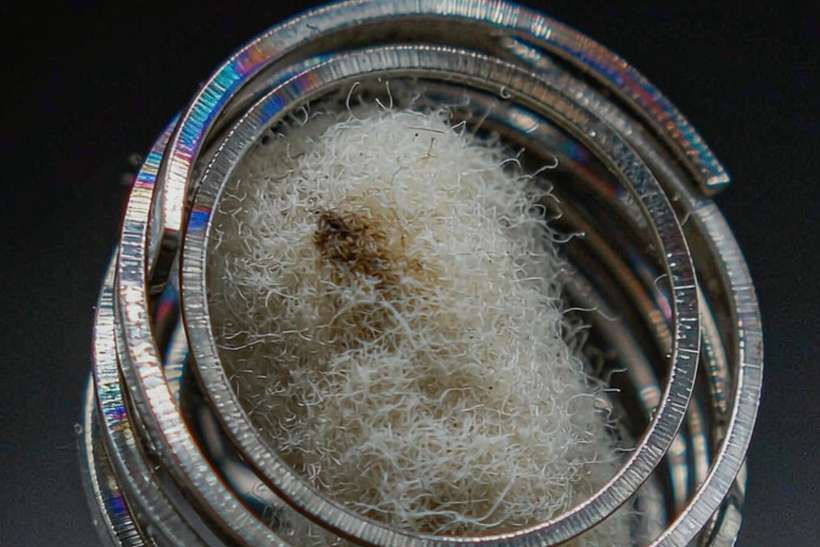 Import Guide for Beipeu pods — limited batch