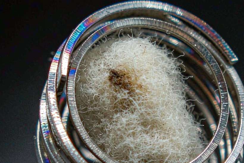 MOQ and Lead Time for Beipeu coils — Autumn stock