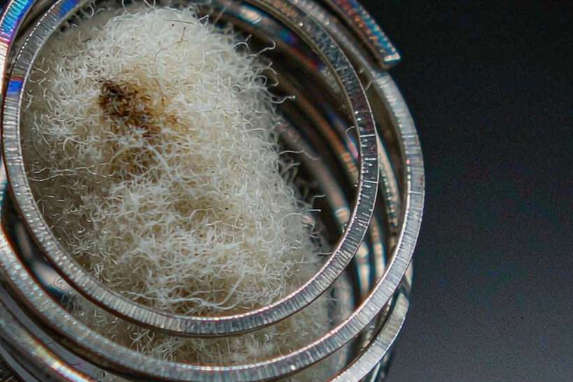 MOQ and Lead Time for Beipeu pods — Middle East