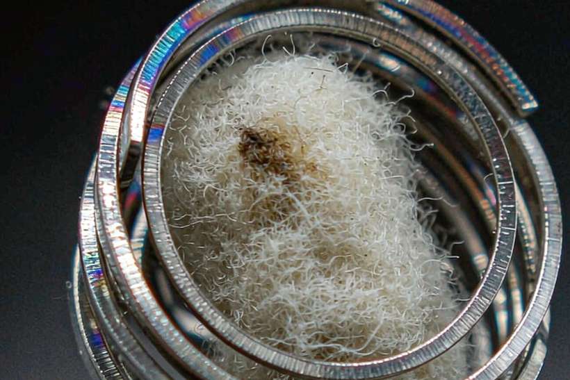 OEM and ODM Options for Beipeu e-liquid — Asia Pacific