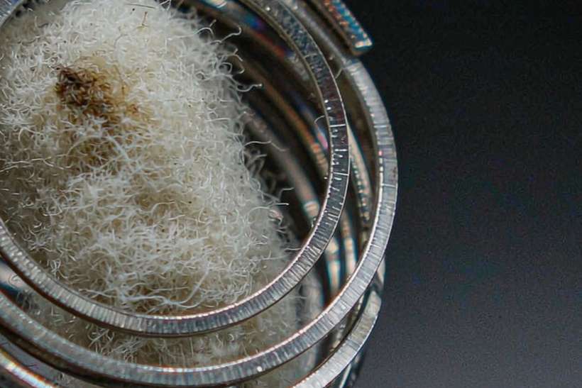 OEM and ODM Options for Beipeu pods — Autumn stock