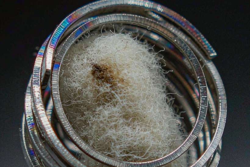 Sourcing Report on Beipeu pods — EU stock