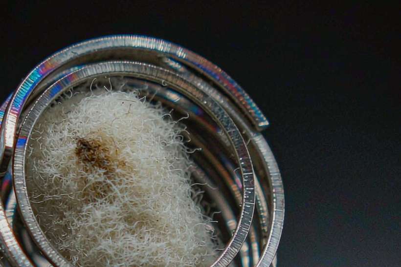 Wholesale Beipeu pods — Summer deals